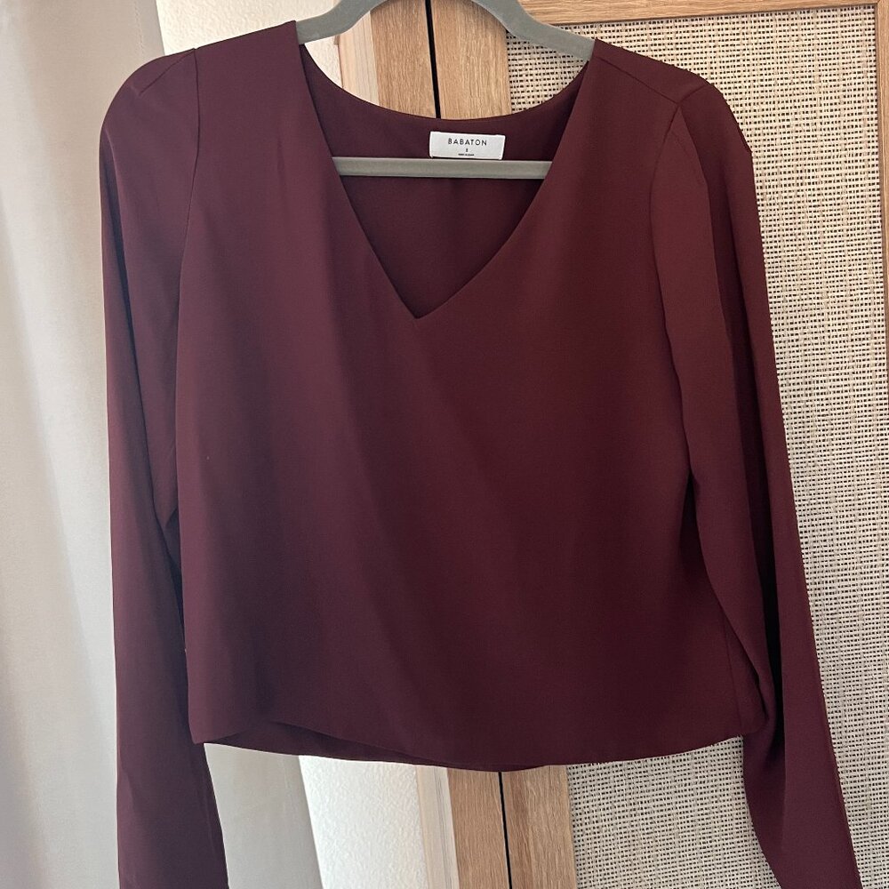 Aritzia Babaton Crepe Blouse